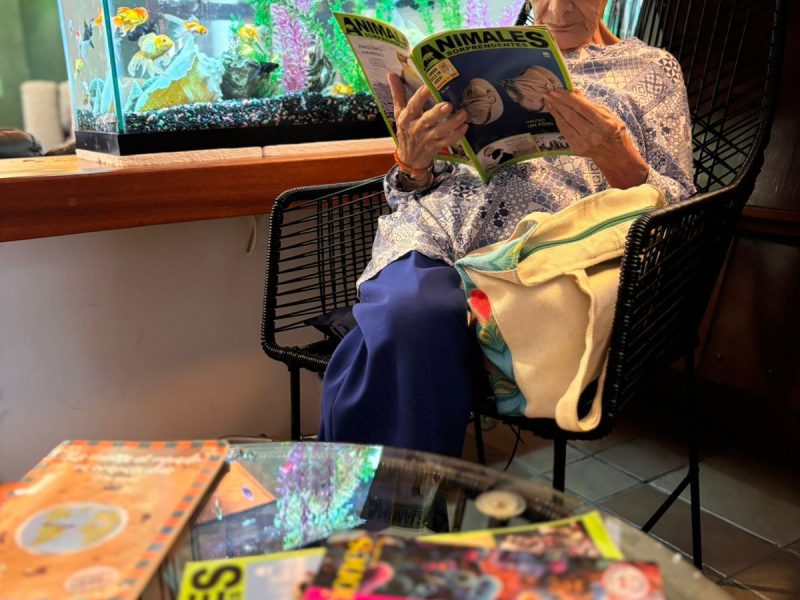 WhatsApp Image 2026-01-31 at 12.22.30 PM